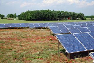 Extensive green roof with photovoltaics